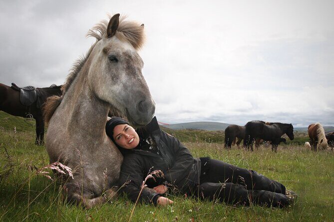 Horseback Riding Tour in Iceland - Practicalities and Booking