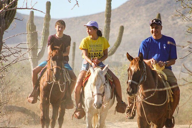 Horseback Riding Tour in Los Cabos - Key Points