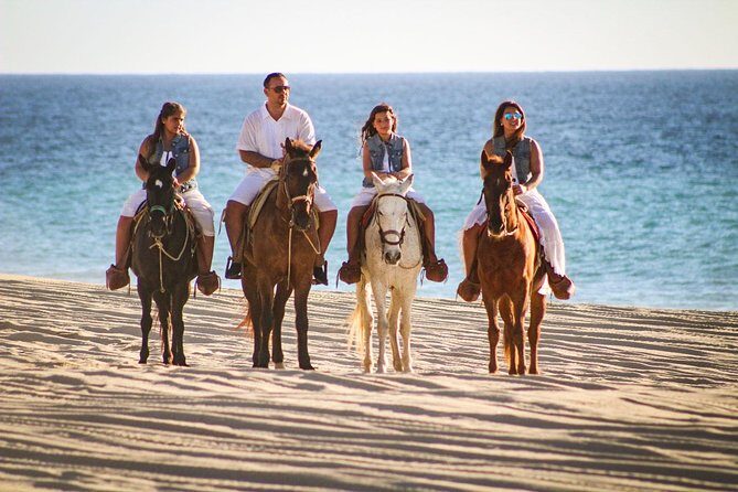 Horseback Riding Tour in Los Cabos - The Practicalities
