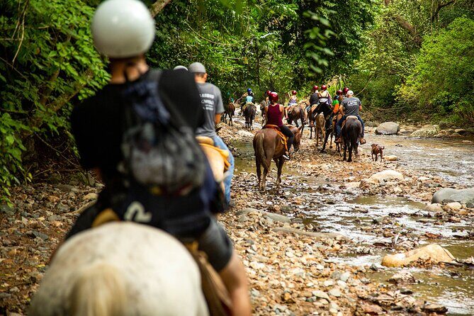 Horseback Riding Tour in Sierra Madre from Puerto Vallarta - What the Reviews Say