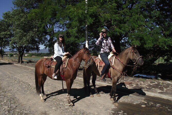 Horseback Riding Tour in The Agave Field with Lunch - Key Points
