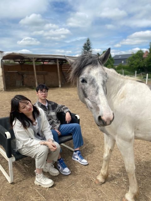 Horseback riding tour near Prague - An Honest Look at the Horseback Riding Tour Near Prague