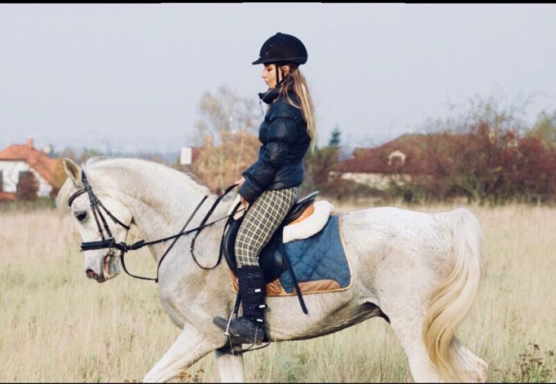 Horseback riding tour near Prague - Analyzing the Value