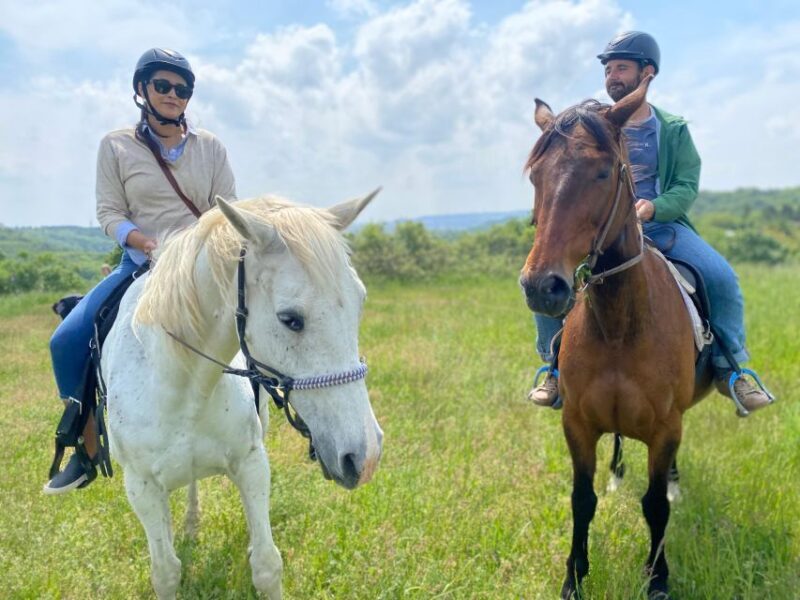Horseback riding tour near Prague - Authentic Experiences from Guests