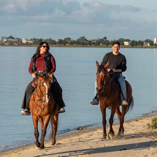 Horseback Riding Trough The Beach GROUP - PDT - Key Points