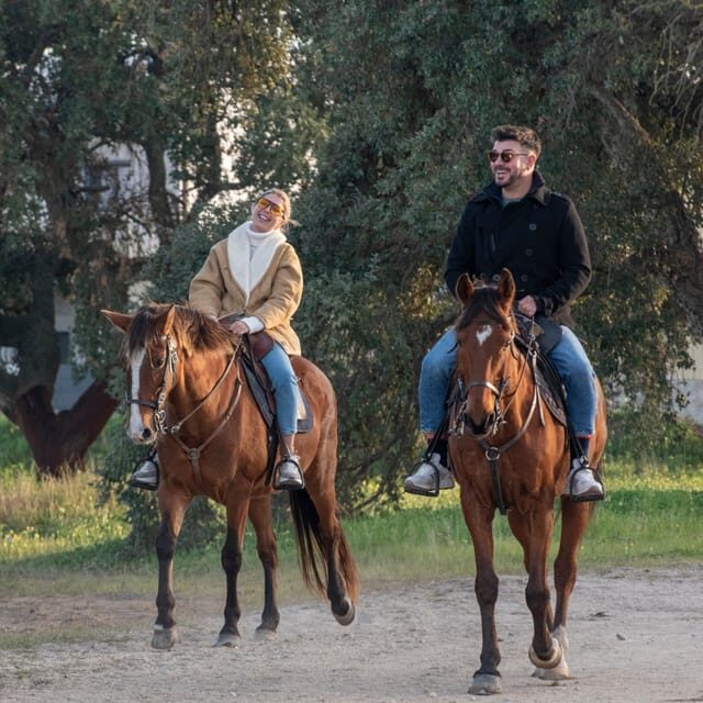 Horseback Riding Trough The Beach GROUP - PDT - An In-Depth Look at the Beach Ride Experience
