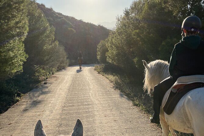 Horseback Riding with Certified Guide - A Close-Up Look at Horseback Riding with Certified Guide in Malaga