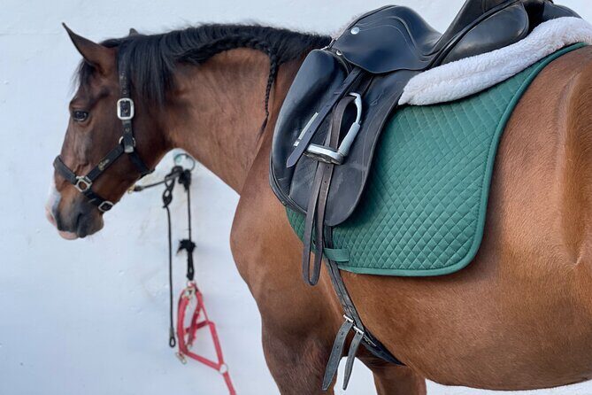 Horseback Riding with Certified Guide - Authentic Experiences and Reviewer Insights