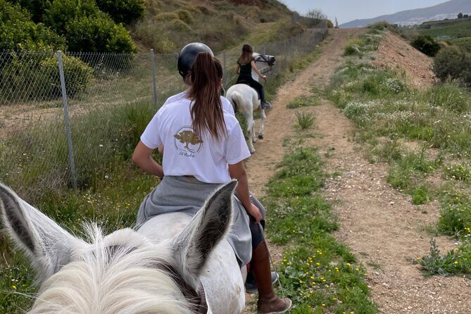 Horseback Riding with Certified Guide - FAQs