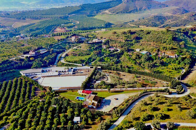 Horseback Riding with Certified Guide - Final Thoughts