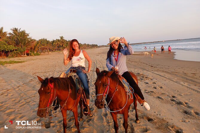 Horseback Riding Zihuatanejo - The Value of the Tour: Is It Worth It?