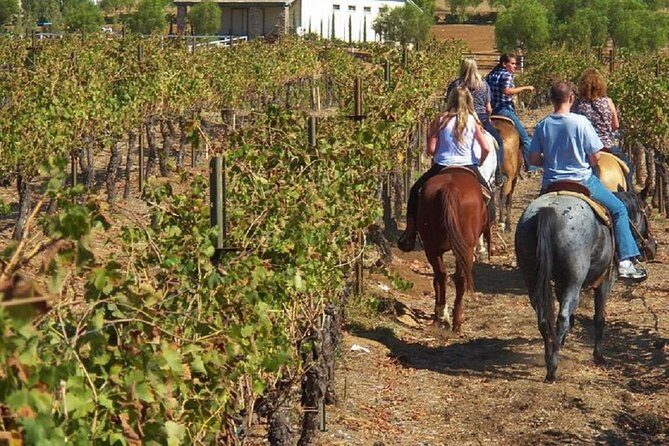 Horseback Ridings and Wine Tastings in a Winery of San Gimignano - The Experience in Detail: What to Expect from Start to Finish