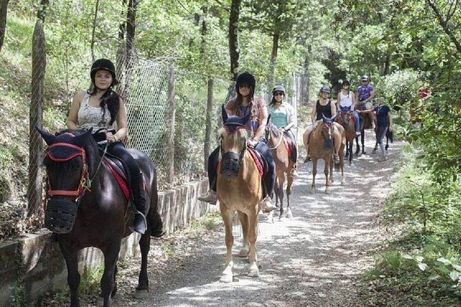 Horseback Ridings and Wine Tastings in a Winery of San Gimignano - The Sum Up