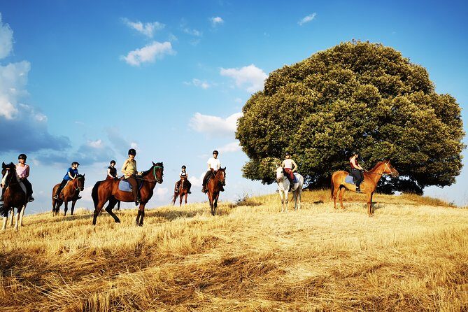 Horsebackriding - explore Tuscan nature - Price and Value