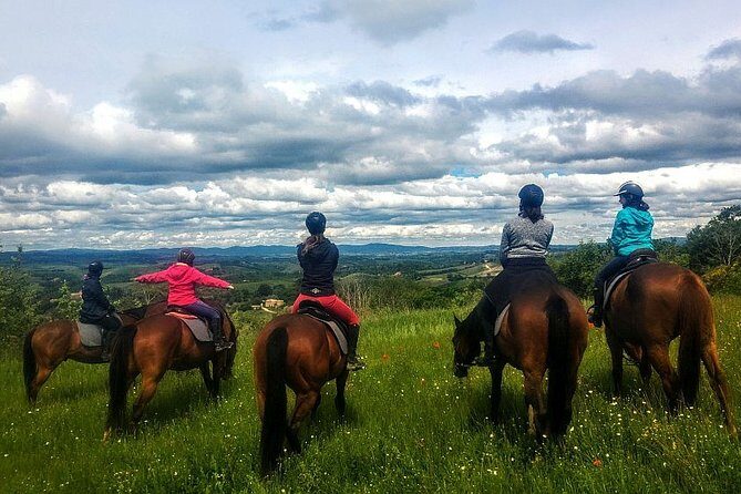 Horsebackriding - explore Tuscan nature - Who This Tour Is Best For