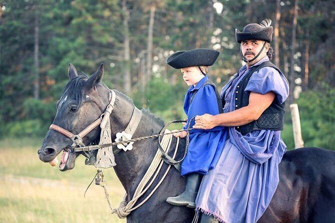 Horseshow on the Hungarian Puszta, private tour from Budapest with entry! - Key Points