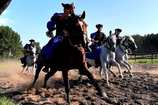 Horseshow on the Hungarian Puszta, private tour from Budapest with entry! - The Sum Up