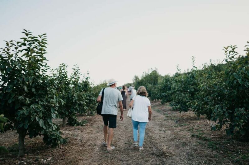 Hort de Sa Vall: Guided tour of the crops and outdoor dinner - Key Points