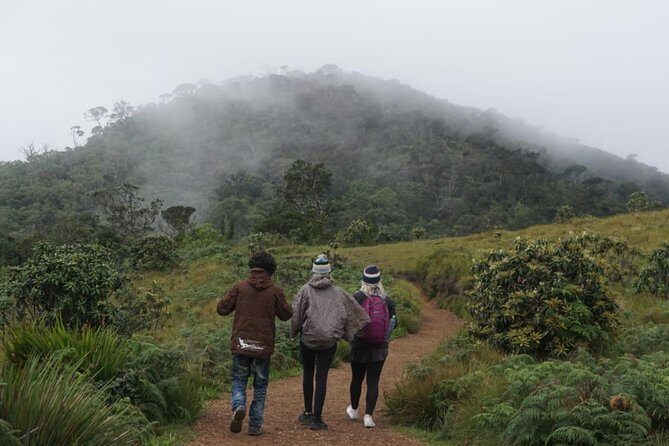 Horton Plains National park - Introduction to the Horton Plains Tour