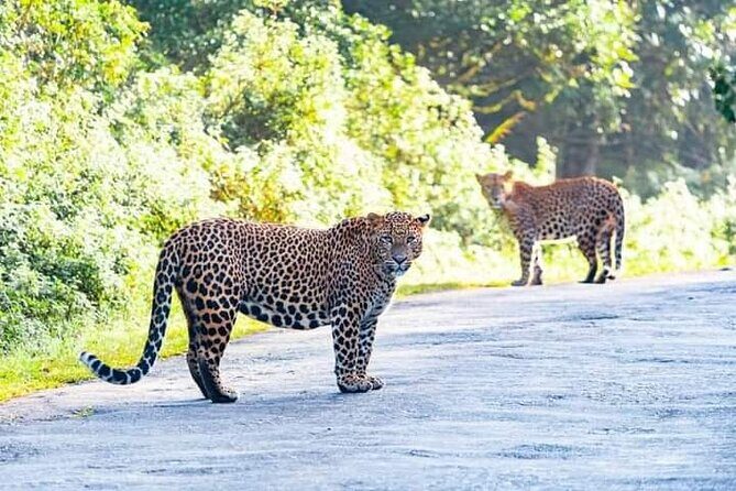 Horton Plains National park - FAQ