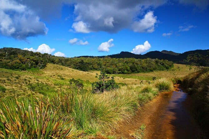 Horton Plains National Park Trekking - An In-Depth Look at the Horton Plains Trekking Experience