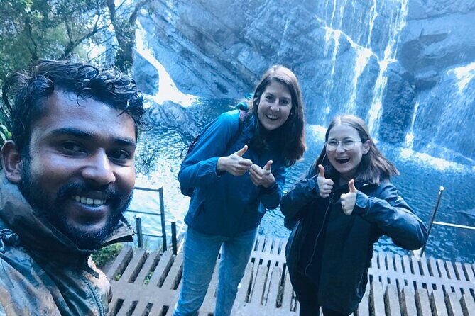 Horton Plains-World's End Tour and Tea Factory Tour From Nuwaraeliya - The Sum Up