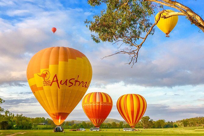 Hot Air Balloon Flight Brisbane with Vineyard Breakfast - What to Expect from This Brisbane Hot Air Balloon Tour