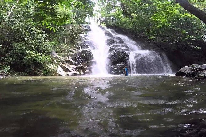 Hot Spring and Waterfall Day Tour - Final Thoughts