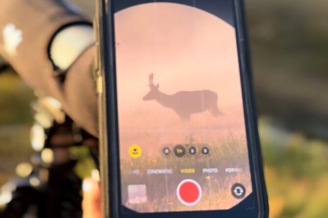 Hot Springs and Geysers Private Tour - Final Thoughts: Who Should Consider This Tour?