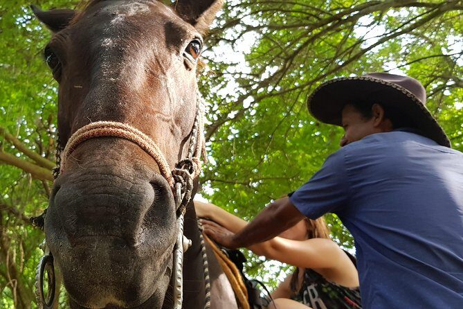 Hot Springs Horseback Riding Adventure - What’s the Group Size and Timing Like?