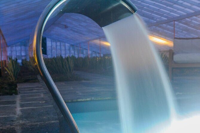 Hot Water Pool Bath Inside Pineapple Plantation & Dinner - What to Expect from This Tour