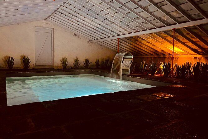 Hot Water Pool Bath Inside Pineapple Plantation & Dinner - Who Is This Tour Best For?