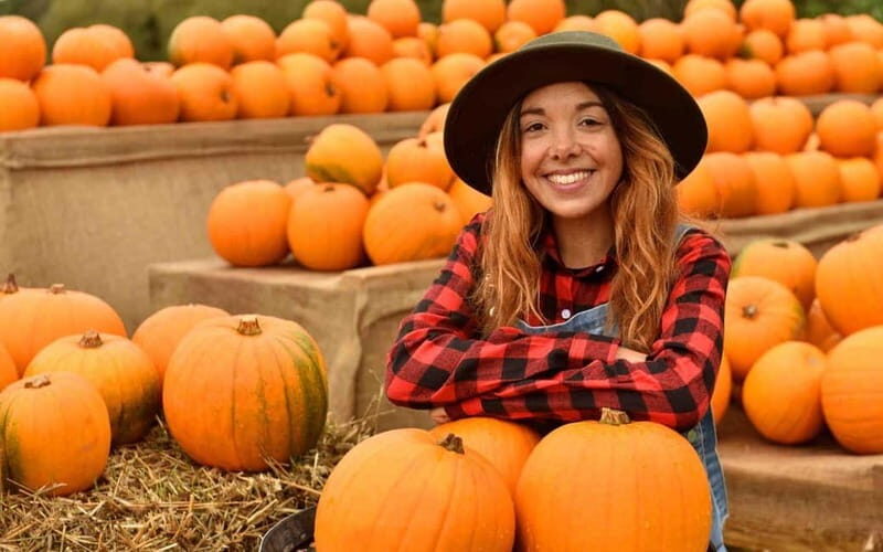 Hounslow: Pumpkin Patch Plus Entry to Hobbledown Heath - Engaging Overview