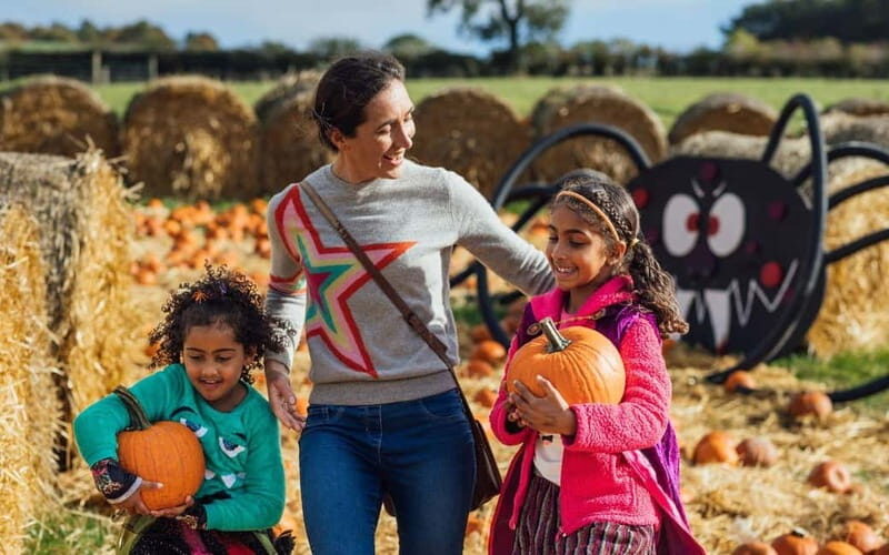 Hounslow: Pumpkin Patch Plus Entry to Hobbledown Heath - Who Will Love This Experience?