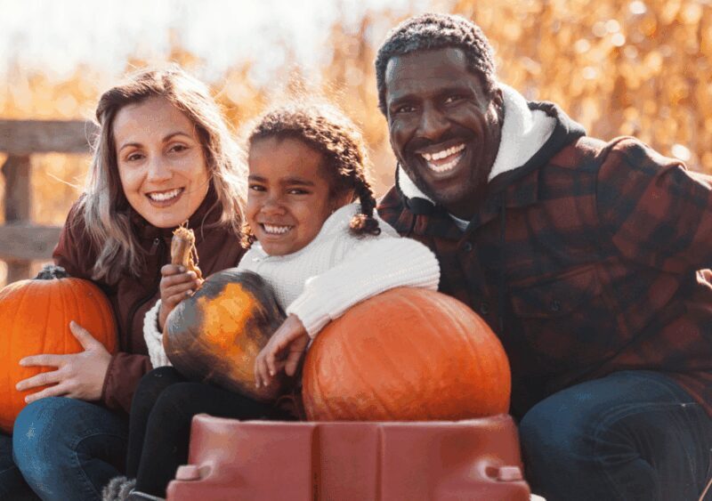 Hounslow: Pumpkin Patch Plus Entry to Hobbledown Heath - The Sum Up