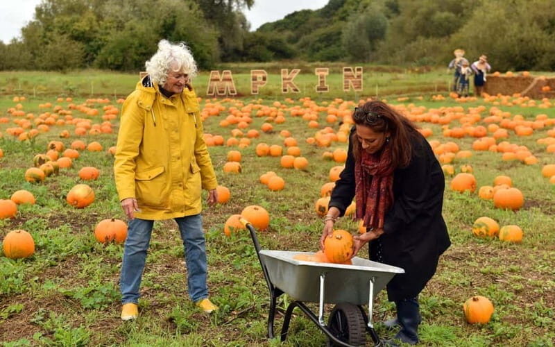 Hounslow: Pumpkin Patch Plus Entry to Hobbledown Heath - FAQ