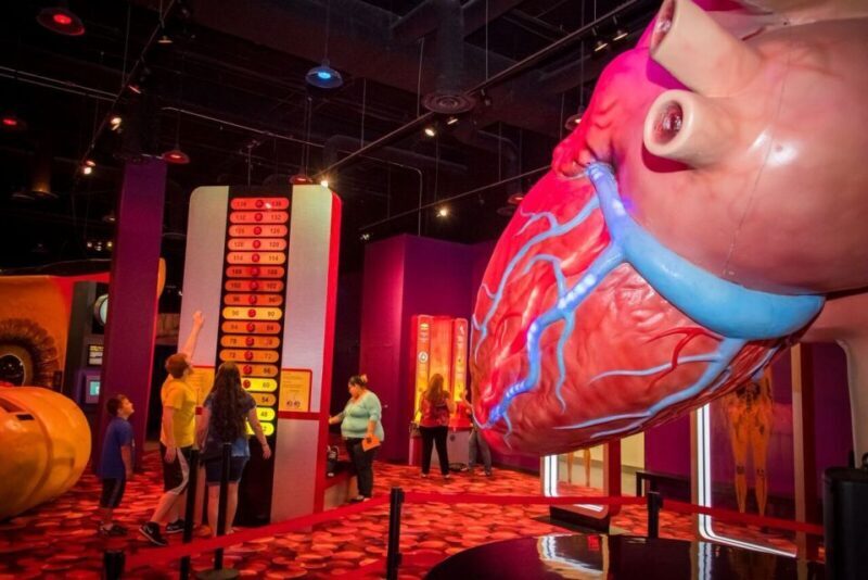 Houston: 1-Day or 3-Day Museum Pass - Final Thoughts