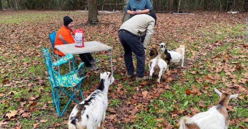 Houston: Adorable mini goats experience e - FAQs