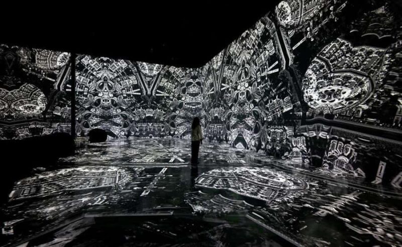Houston: 'ARTECHOUSE' Exhibition and Gallery Entry Ticket - The Experience in Detail