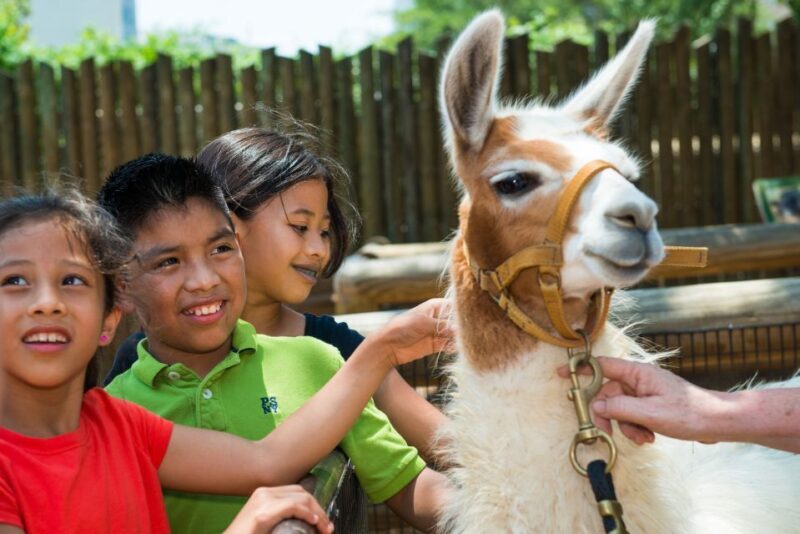 Houston CityPASS®: Save up to 51% at 5 Top Attractions - Practical Tips for Tourists