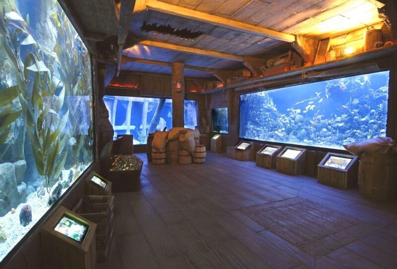 Houston CityPASS®: Save up to 51% at 5 Top Attractions - Who Will Love This?