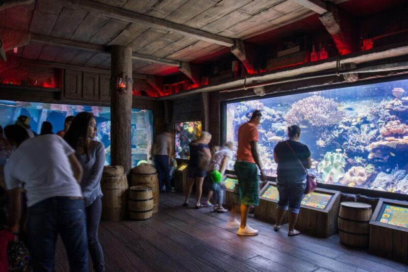 Houston: Downtown Aquarium All Day Pass - The Rides and Attractions: Endless Fun for All Ages