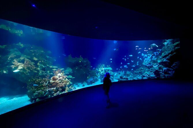 Houston Downtown Highlights Private Guided Walking Tour - The Practical Side: What to Expect