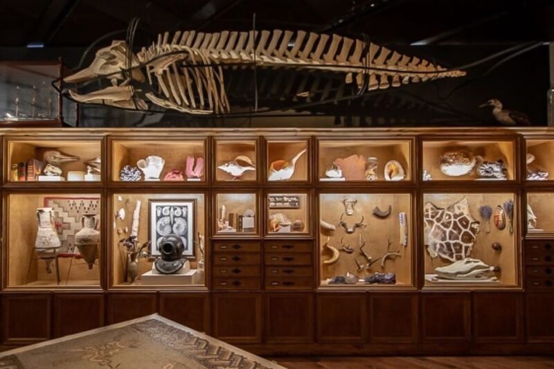 Houston Museum of Natural Science General Admission Ticket - FAQ