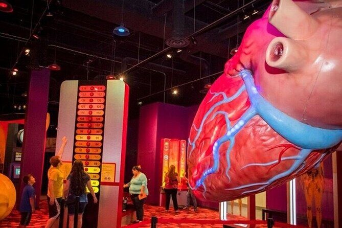Houston Museum Pass - An In-Depth Look at the Houston Museum Pass Experience