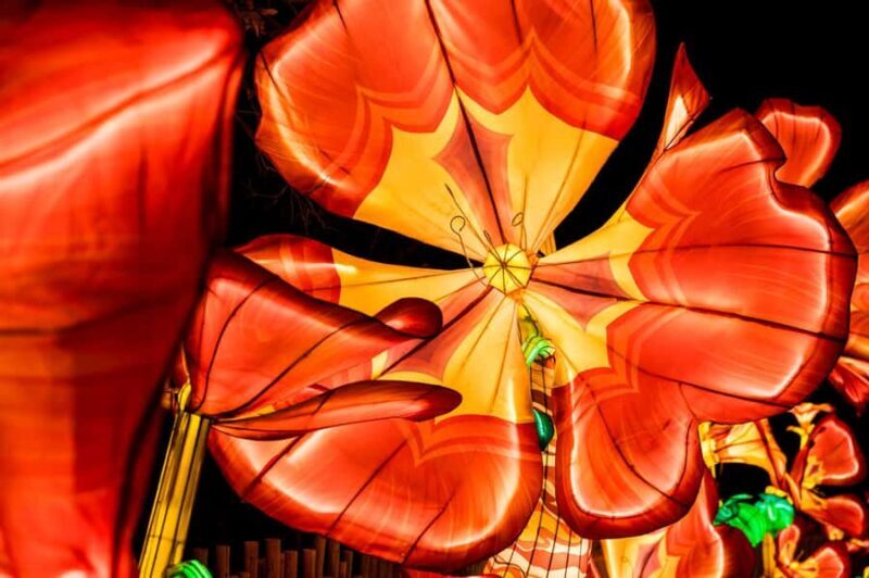 Houston: Radiant Nature Winter Light Show Tickets - Value for Money