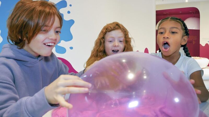 Houston: Sloomoo Institute Entry Ticket - The Bottom Line: Who Should Consider This?