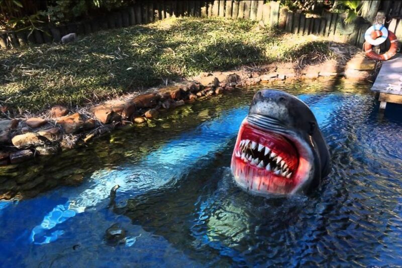 Houston Tour and Aquarium Ticket - The Downtown Aquarium: A Marine Adventure