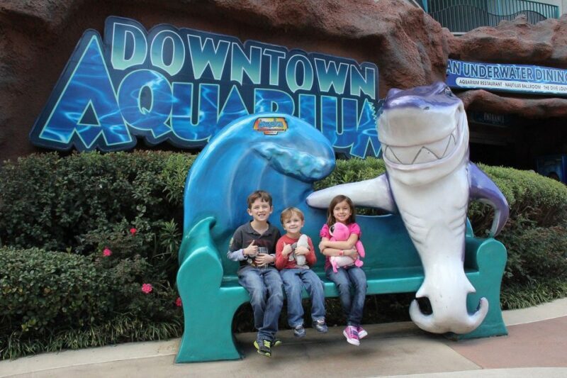 Houston Tour and Aquarium Ticket - FAQ