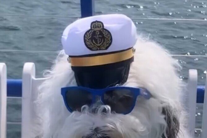 Howl O Ween Doggy Costume Party Cruise - The Sum Up